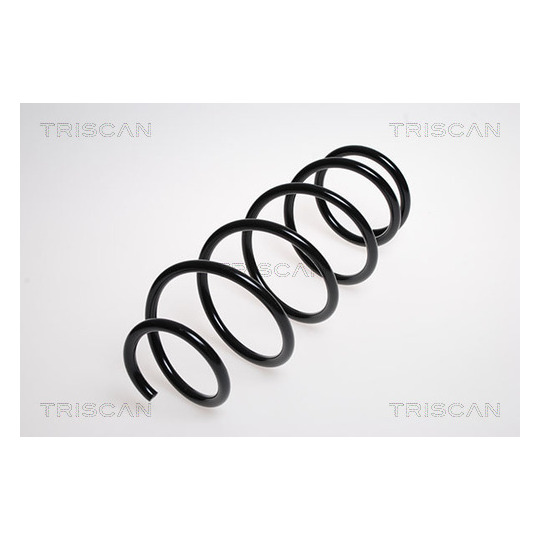 8750 13128 - Coil Spring 