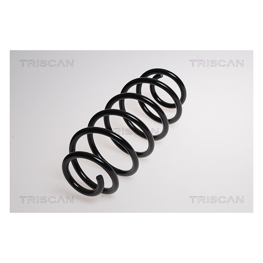 8750 13152 - Coil Spring 