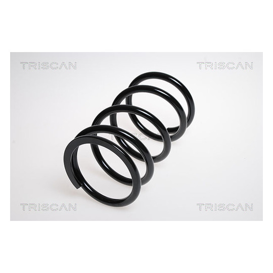 8750 13146 - Coil Spring 