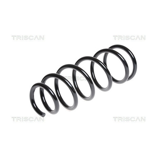 8750 13135 - Coil Spring 