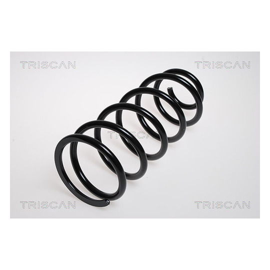 8750 13137 - Coil Spring 