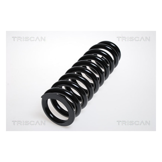 8750 13138 - Coil Spring 