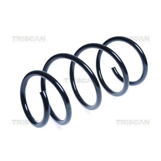 8750 13162 - Coil Spring 