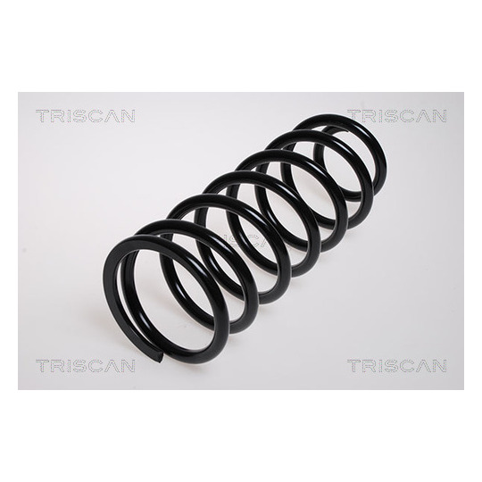 8750 13167 - Coil Spring 