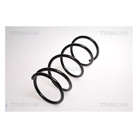 8750 13134 - Coil Spring 