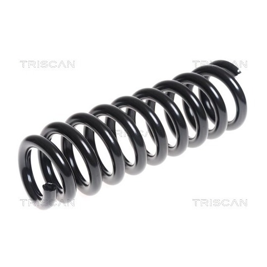 8750 13177 - Coil Spring 