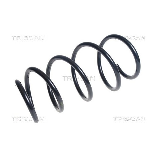 8750 13199 - Coil Spring 