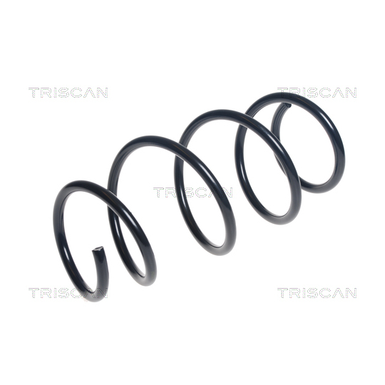 8750 13213 - Coil Spring 