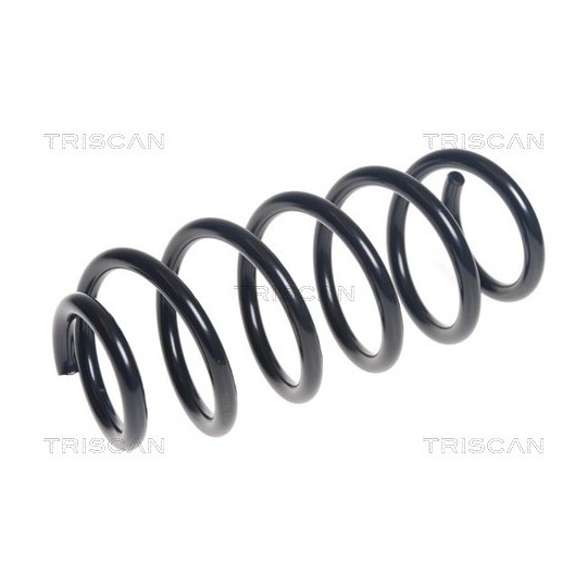 8750 13214 - Coil Spring 