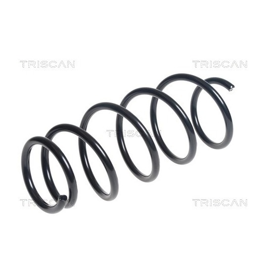 8750 13194 - Coil Spring 