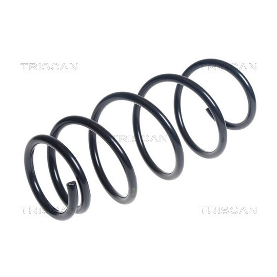 8750 13201 - Coil Spring 