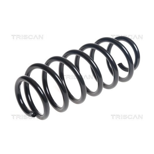 8750 13217 - Coil Spring 