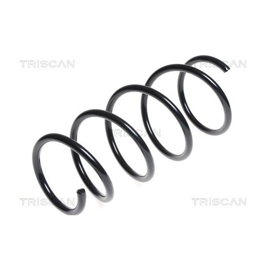 8750 13171 - Coil Spring 