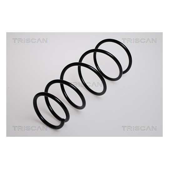 8750 13204 - Coil Spring 