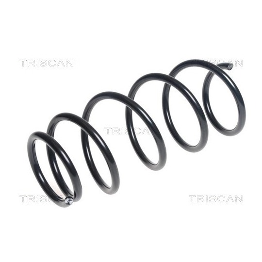 8750 13193 - Coil Spring 