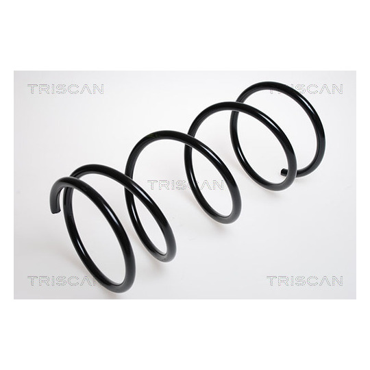 8750 1373 - Coil Spring 