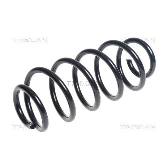 8750 13225 - Coil Spring 