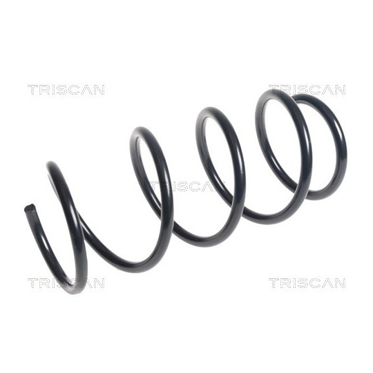 8750 14109 - Coil Spring 