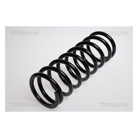 8750 1396 - Coil Spring 