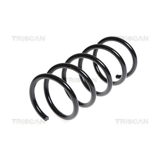 8750 15171 - Coil Spring 