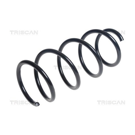 8750 15187 - Coil Spring 