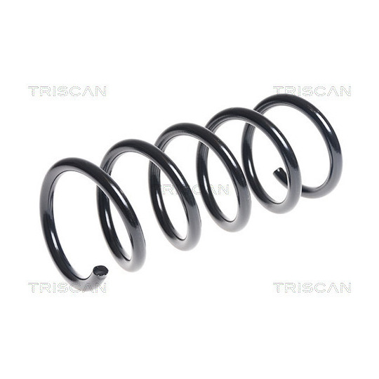 8750 15169 - Coil Spring 