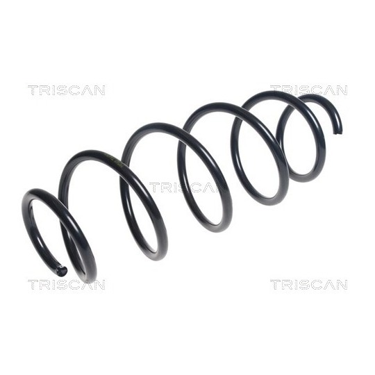 8750 15198 - Coil Spring 