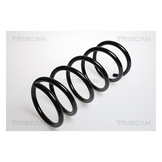 8750 1538 - Coil Spring 