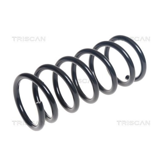 8750 15211 - Coil Spring 