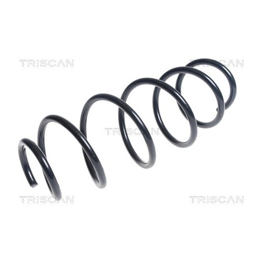 8750 15197 - Coil Spring 