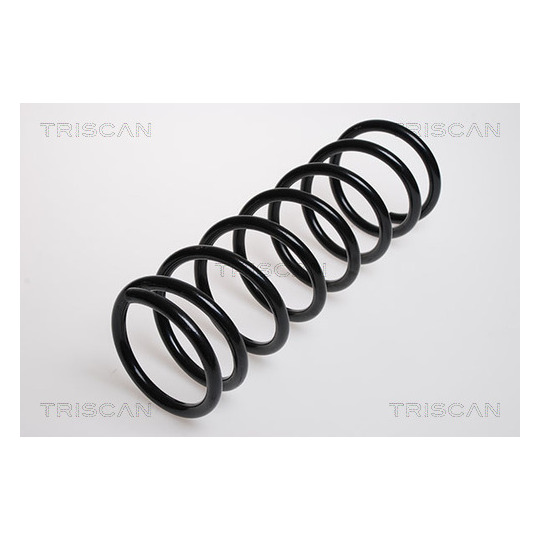 8750 16028 - Coil Spring 