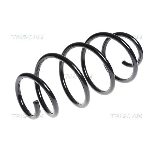 8750 16064 - Coil Spring 