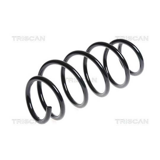 8750 16073 - Coil Spring 