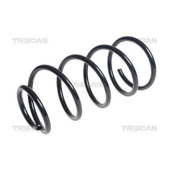 8750 16113 - Coil Spring 