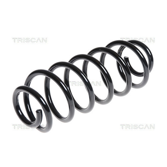 8750 16087 - Coil Spring 