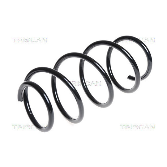 8750 16089 - Coil Spring 