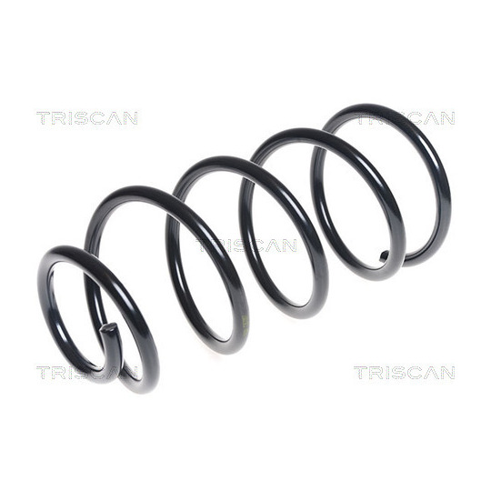 8750 16094 - Coil Spring 