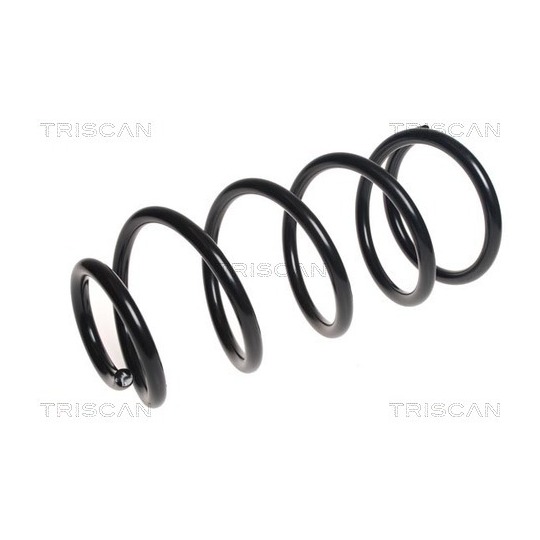 8750 16121 - Coil Spring 