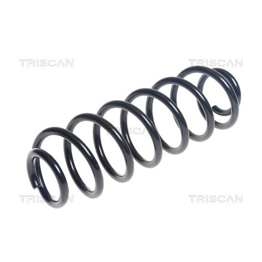 8750 16128 - Coil Spring 