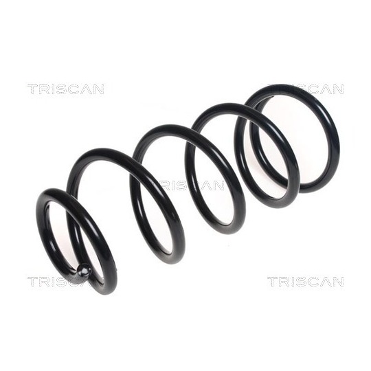 8750 16123 - Coil Spring 