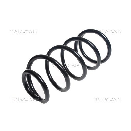 8750 16124 - Coil Spring 