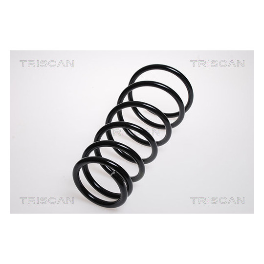 8750 1825 - Coil Spring 