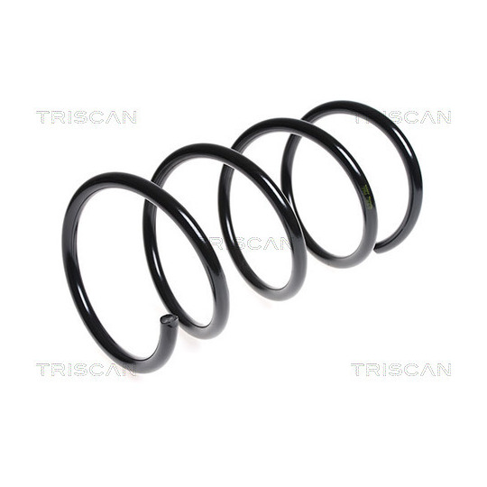 8750 1839 - Coil Spring 