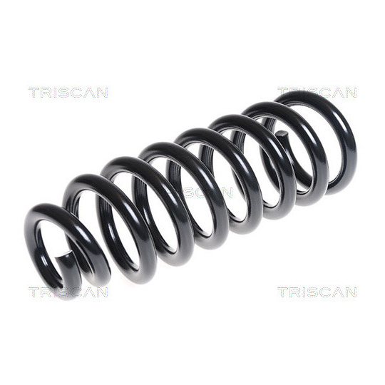 8750 1856 - Coil Spring 