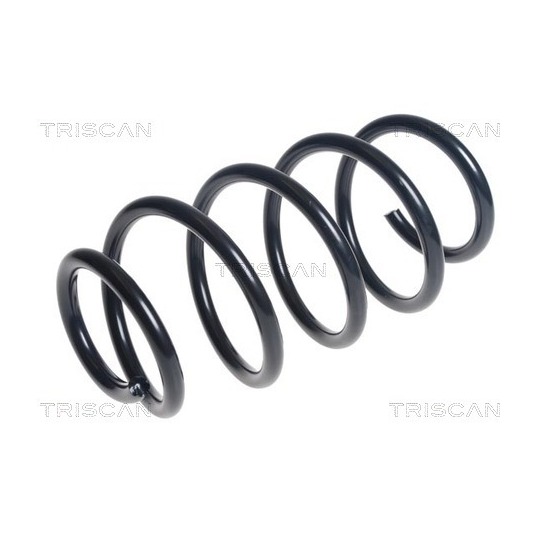 8750 1870 - Coil Spring 