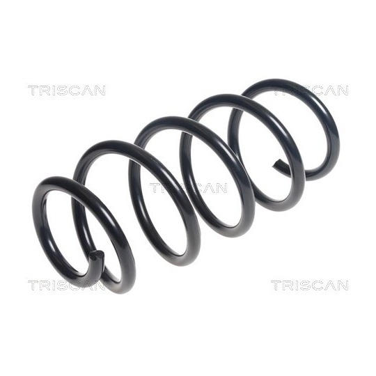 8750 1869 - Coil Spring 