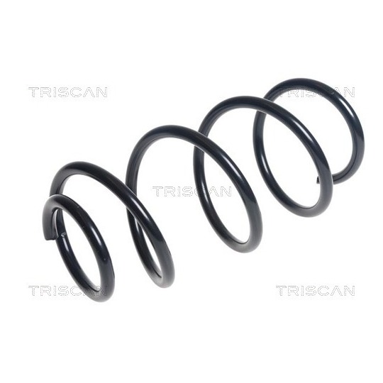 8750 1879 - Coil Spring 