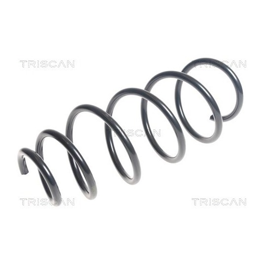 8750 2134 - Coil Spring 