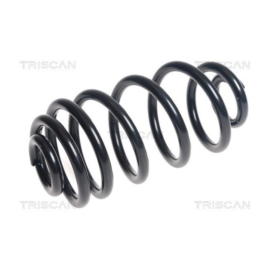 8750 2141 - Coil Spring 