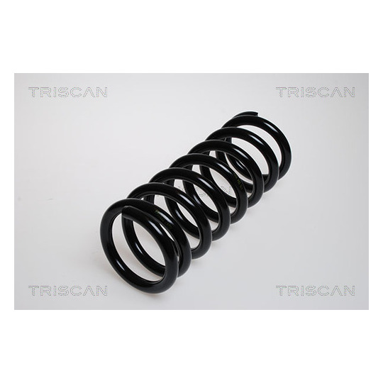 8750 2302f - Coil Spring 